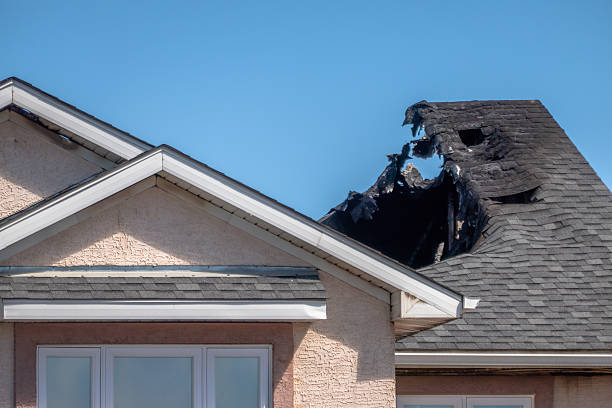 Top rated local Board Up Services specialists in Kingsville, TX